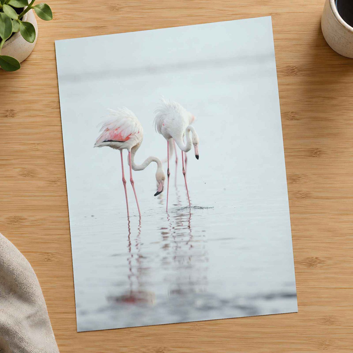 Flamingos at Walvis Bay Wetland Erongo Region Photo Print (7 Sizes) - Frameable