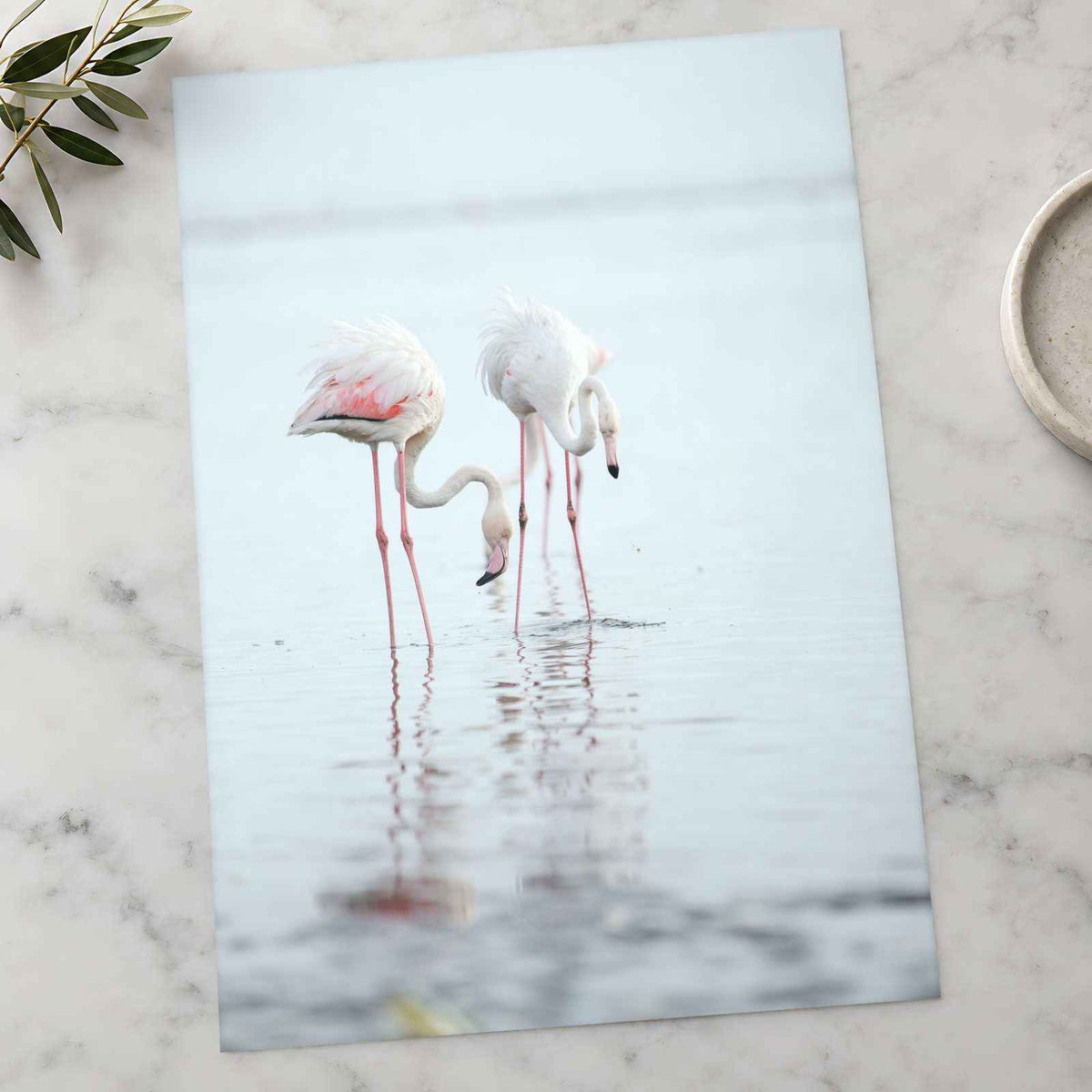Flamingos at Walvis Bay Wetland Erongo Region Photo Print (7 Sizes) - Frameable