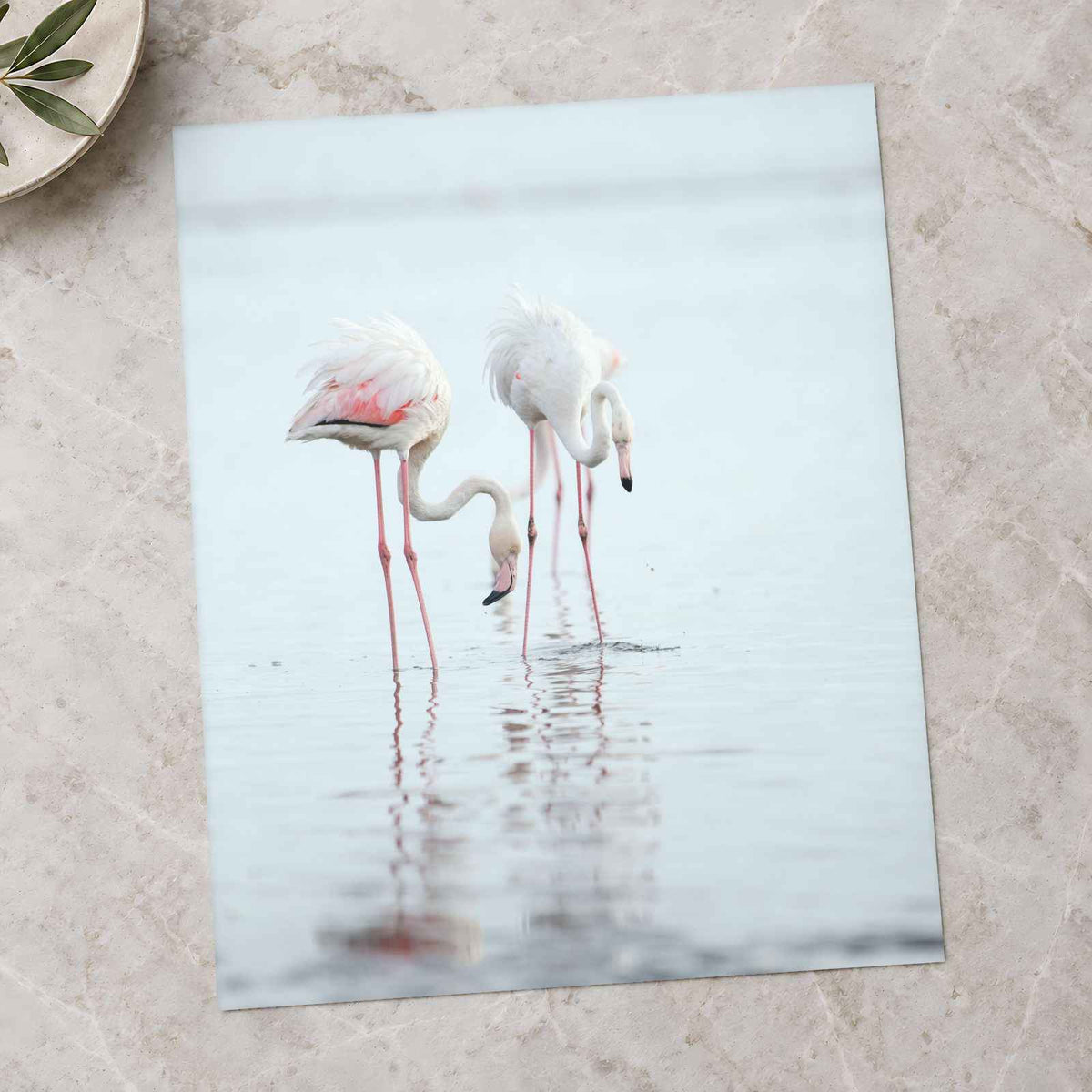 Flamingos at Walvis Bay Wetland Erongo Region Photo Print (7 Sizes) - Frameable