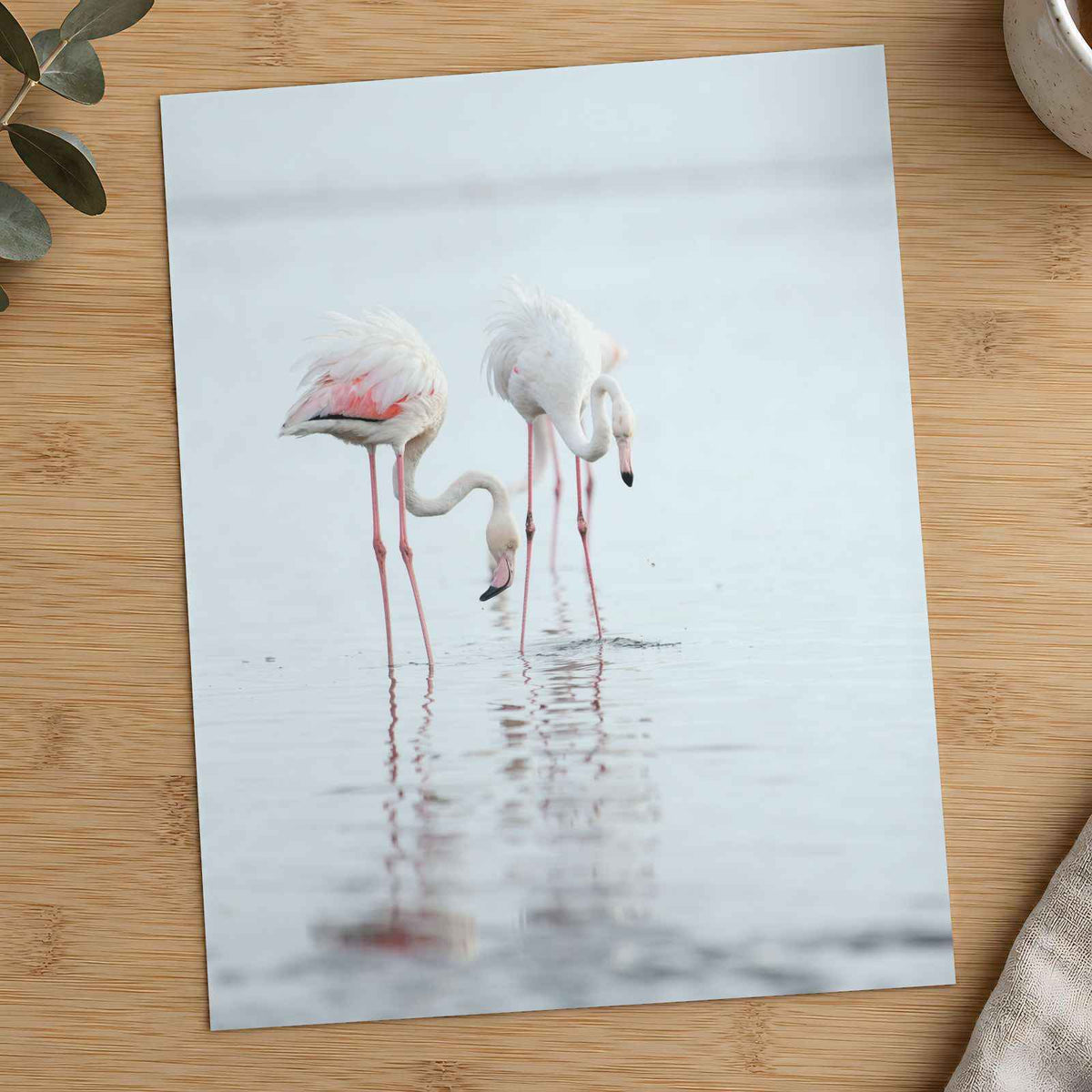 Flamingos at Walvis Bay Wetland Erongo Region Photo Print (7 Sizes) - Frameable