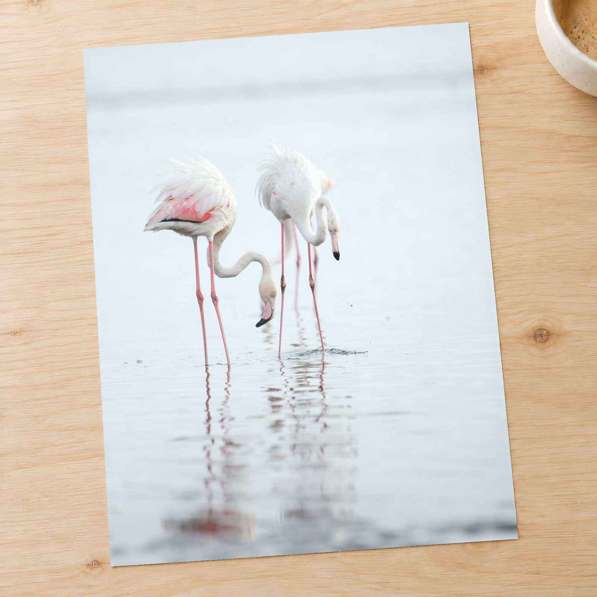 Flamingos at Walvis Bay Wetland Photo Print Wall Decor