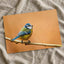 Beautiful Blue Tit Bird, Orange Background Photo Wall Art (7 Sizes) - Frameable