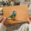 Beautiful Blue Tit Bird, Orange Background Photo Wall Art (7 Sizes) - Frameable