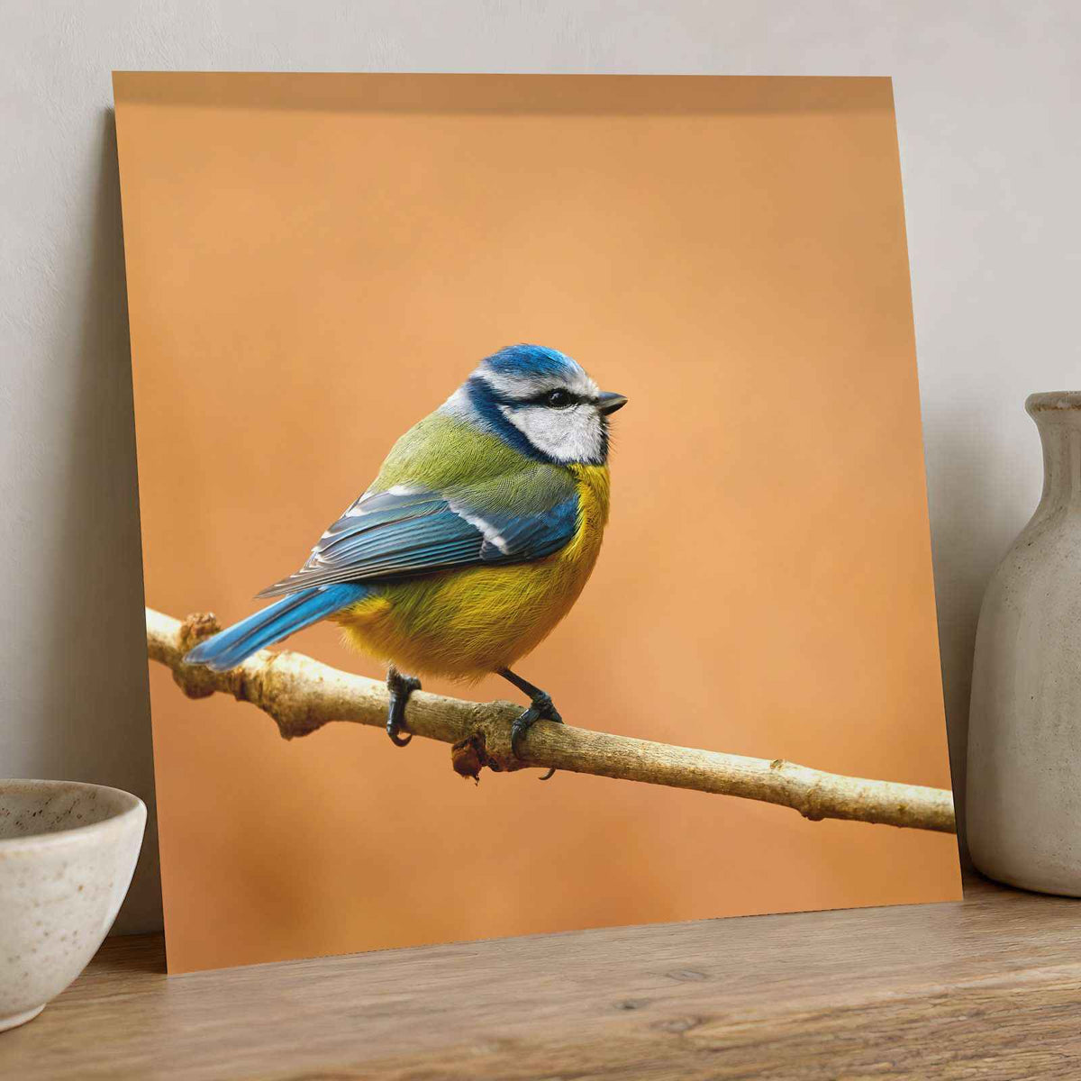 Beautiful Blue Tit Bird, Orange Background Photo Wall Art (7 Sizes) - Frameable