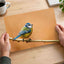 Beautiful Blue Tit Bird, Orange Background Photo Wall Art (7 Sizes) - Frameable