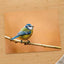 Beautiful Blue Tit Bird