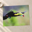 Toucan in Flight Photo Wall Print (7 Sizes) - Satin Luster