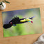 Toucan in Flight Photo Wall Print (7 Sizes) - Satin Luster