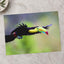 Toucan in Flight Photo Wall Print (7 Sizes) - Satin Luster
