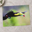 Toucan in Flight by Zdeněk Macháček Photo Print Wall Decor