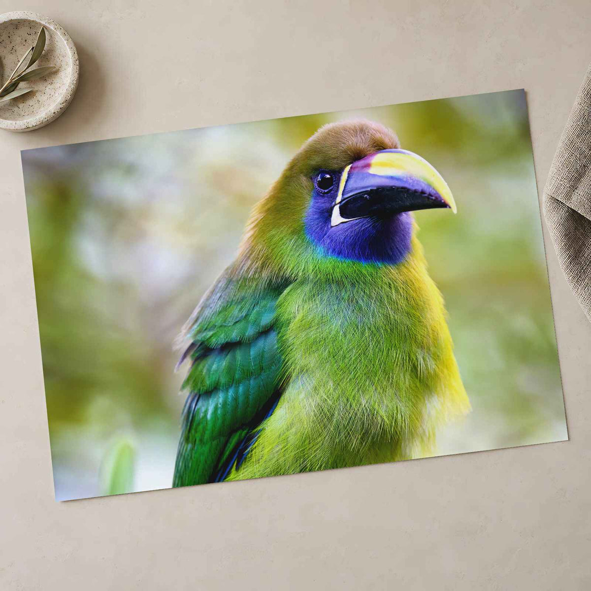 Green Toucan Looking Regal Photographic Art Print (7 Sizes) - Ready to Frame