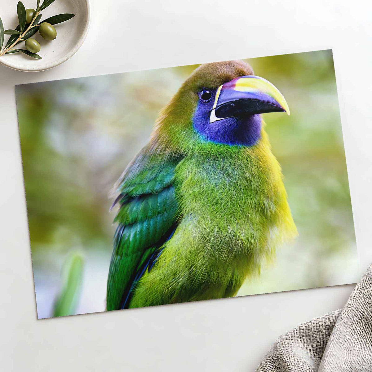 Green Toucan Looking Regal Photographic Art Print (7 Sizes) - Ready to Frame