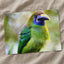 Green Toucan Looking Regal by Zdeněk Macháček Photo Print Wall Decor