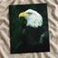 Close Up of Bald Eagle Photo Wall Art (7 Sizes) - Premium Quality