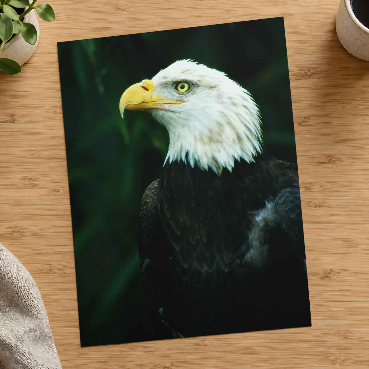 Close Up of Bald Eagle Photo Wall Art (7 Sizes) - Premium Quality