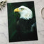 Close Up of Bald Eagle Photo Wall Art (7 Sizes) - Premium Quality