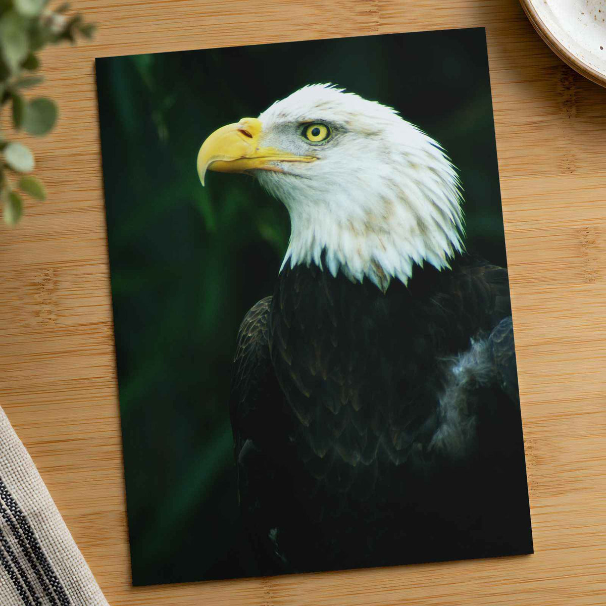 Close Up of Bald Eagle Photo Wall Art (7 Sizes) - Premium Quality