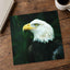 Close Up of Bald Eagle Photo Wall Art (7 Sizes) - Premium Quality