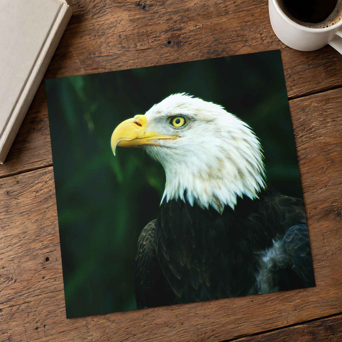 Close Up of Bald Eagle Photo Wall Art (7 Sizes) - Premium Quality