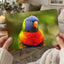 Rainbow Lorikeet Photo Print (7 Sizes) - Shipped Flat