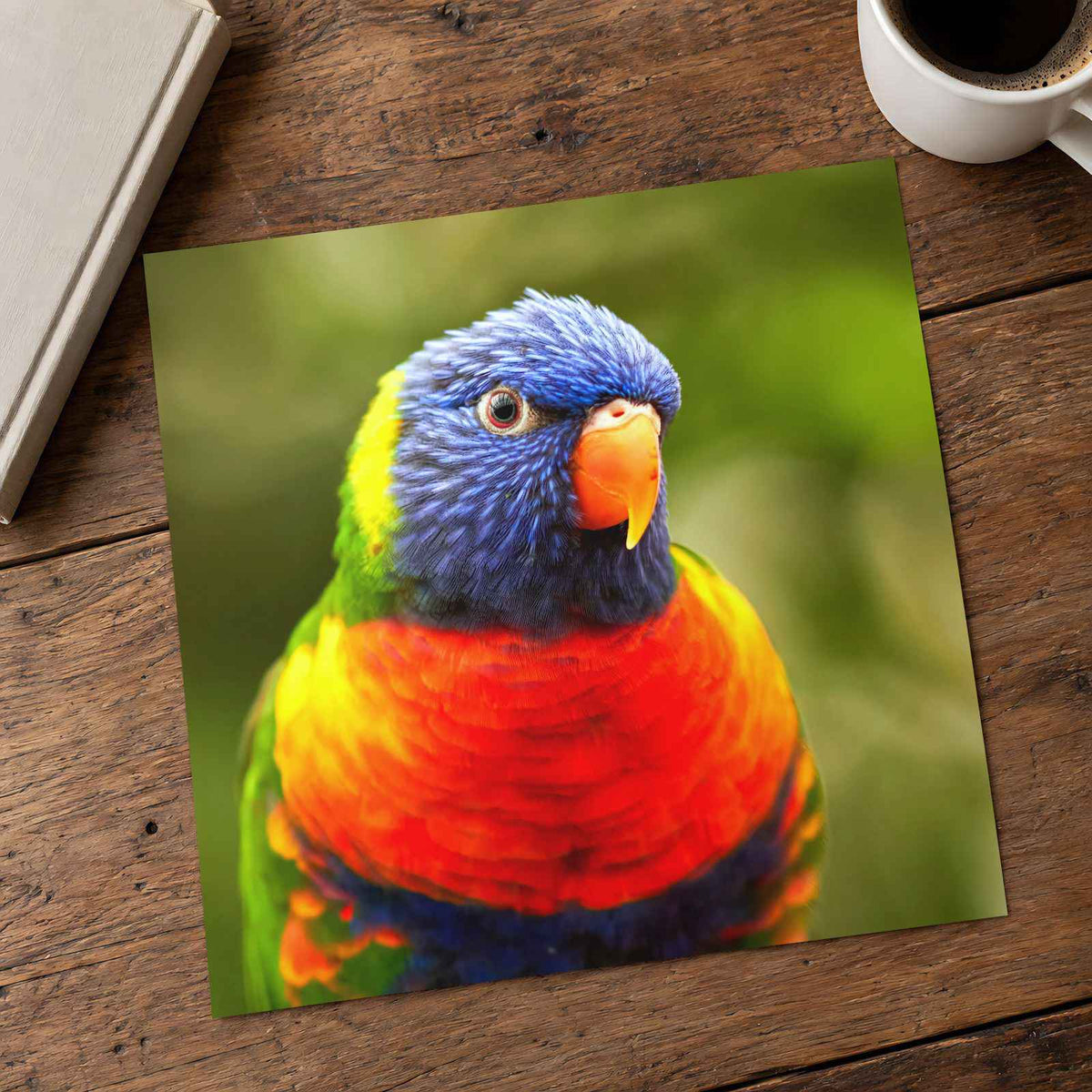 Rainbow Lorikeet Photo Print (7 Sizes) - Shipped Flat