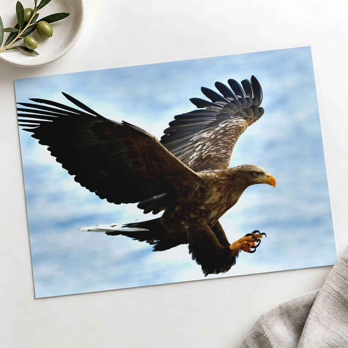 White-Tailed Eagle Photographic Art Print (4 Sizes) - High Quality