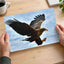 White-Tailed Eagle Photographic Art Print (4 Sizes) - High Quality