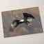Bald Eagle in Flight Photo Wall Art (3 Sizes) - Frameable