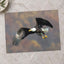 Bald Eagle in Flight Photo Wall Art (3 Sizes) - Frameable