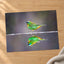 Green Bird with Orange Accents Reflected Photo Wall Print (7 Sizes) - Frameable
