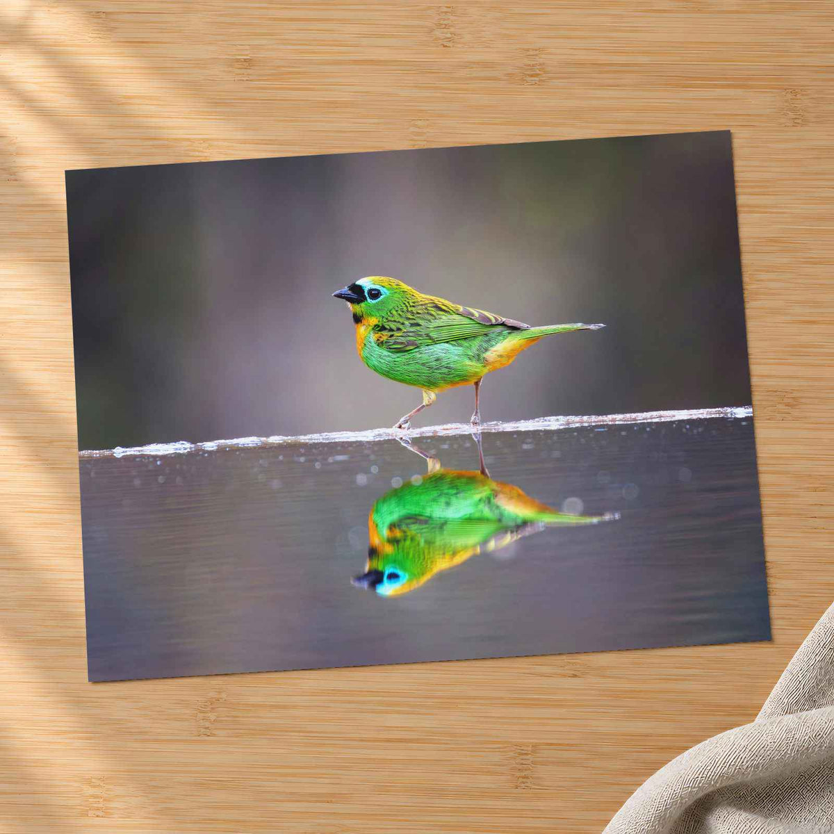 Green Bird with Orange Accents Reflected Photo Wall Print (7 Sizes) - Frameable