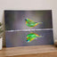 Green Bird with Orange Accents Reflected Photo Wall Print (7 Sizes) - Frameable