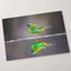 Green Bird with Orange Accents Reflected Photo Wall Print (7 Sizes) - Frameable
