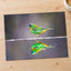 Green Bird with Orange Accents Reflected Photo Wall Print (7 Sizes) - Frameable