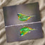 Green Bird with Orange Accents Reflected Photo Wall Print (7 Sizes) - Frameable