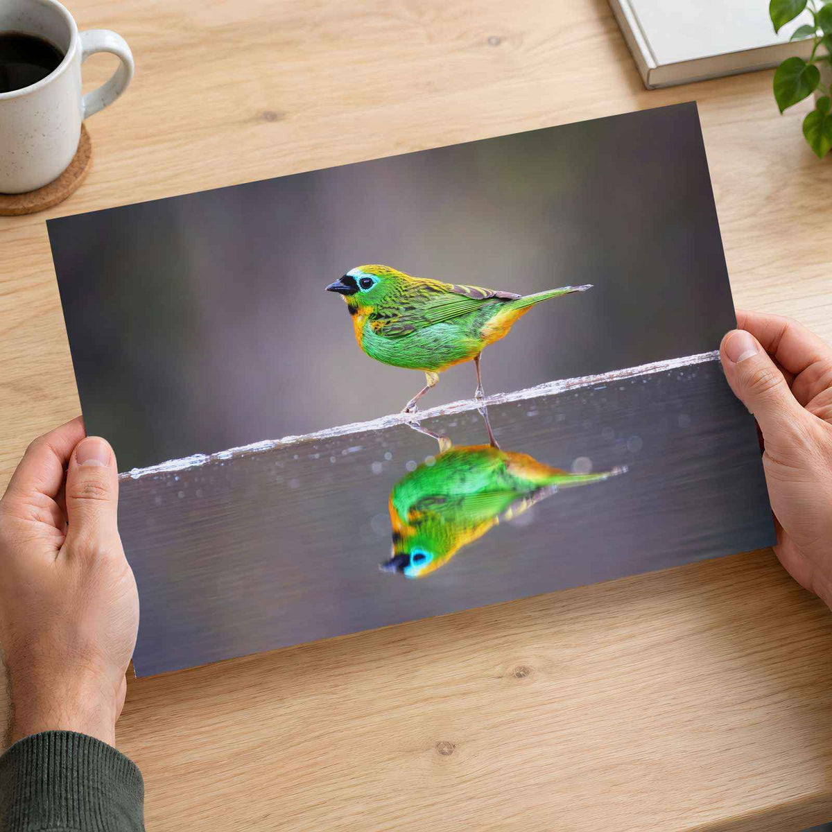 Green Bird with Orange Accents Reflected Photo Wall Print (7 Sizes) - Frameable