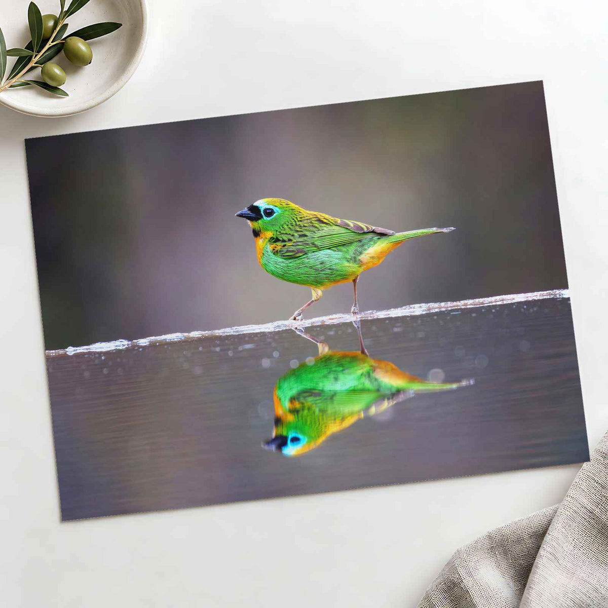 Green Bird with Orange Accents Reflected by Zdeněk Macháček Photo Print Wall Decor