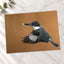 Belted Kingfisher in with Catch Photographic Art Print (6 Sizes) - High Quality
