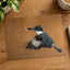 Belted Kingfisher in with Catch Photographic Art Print (6 Sizes) - High Quality
