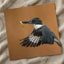 Belted Kingfisher in with Catch Photographic Art Print (6 Sizes) - High Quality