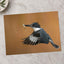 Belted Kingfisher in with Catch Photographic Art Print (6 Sizes) - High Quality