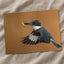 Belted Kingfisher in with Catch Photo Print Wall Decor