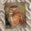 Burrowing Owl Photo Print (5 Sizes) - Shipped Flat