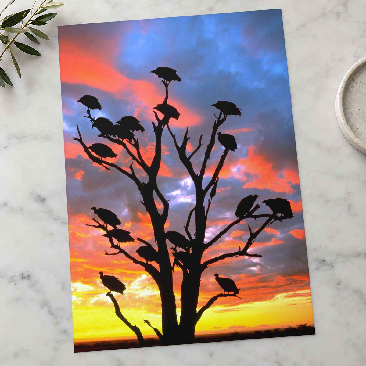 Vivid Sky Silhouettes of Vultures on Tree Photo Wall Print (7 Sizes) - Frameable