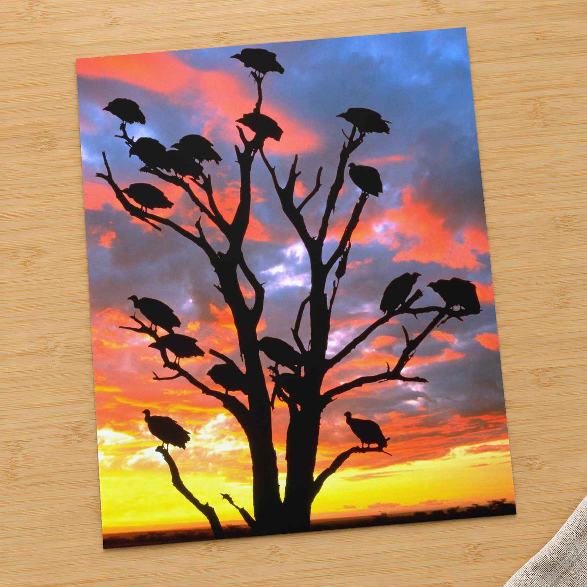 Vivid Sky Silhouettes of Vultures on Tree Photo Wall Print (7 Sizes) - Frameable