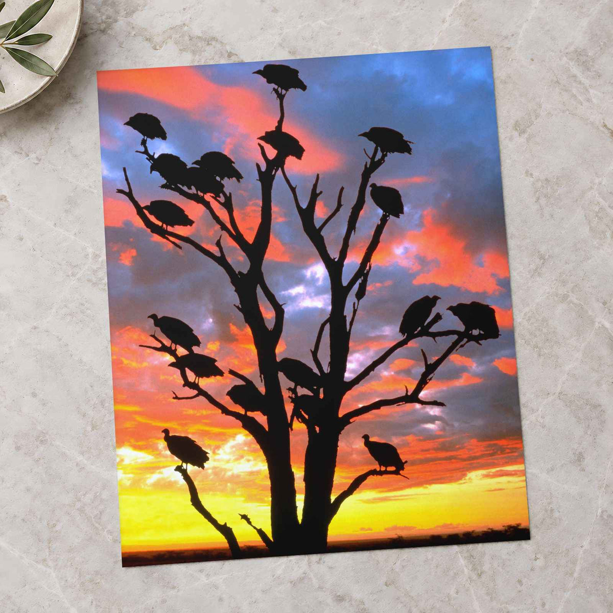 Vivid Sky Silhouettes of Vultures on Tree Photo Print Wall Decor