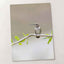 Hummingbird on Branch with Green Leaves Dripping Springs Photo Print (7 Sizes)
