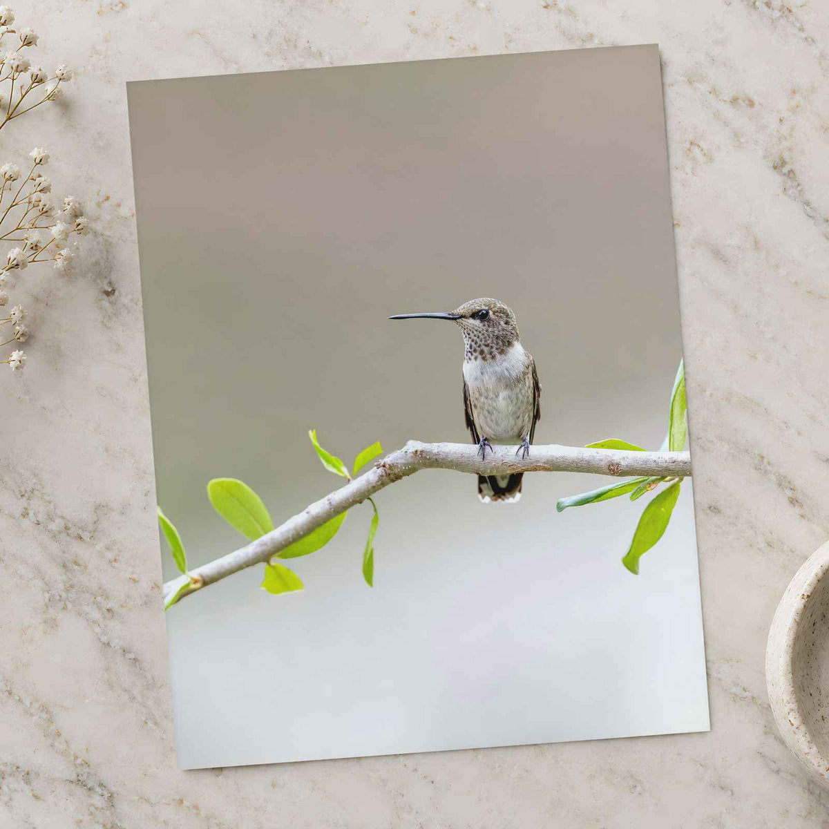 Hummingbird on Branch with Green Leaves by Matt Bango Photo Print Wall Decor