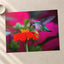 Ruby Throated Hummingbird, Mexican Sunflower Photographic Art Print (7 Sizes)