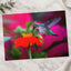 Ruby Throated Hummingbird, Mexican Sunflower Photographic Art Print (7 Sizes)